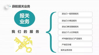 独家分享 薛航物流一站式综合货运代理服务全解析